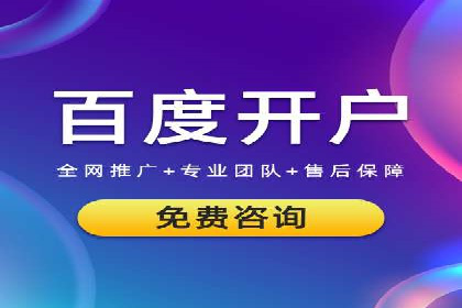 某电商平台的SEM服务托管全流程案例